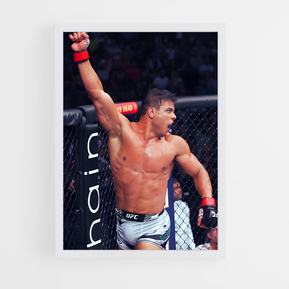 Poster La Cage Rouge – affiche MMA (vue 3)